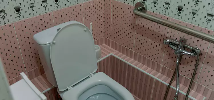 Meeting Diverse Needs With Accessible Restroom Solutions in Canyon Lake, TX